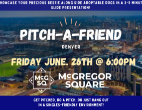 Pitch-A-Friend + Pitch-A-Pet!