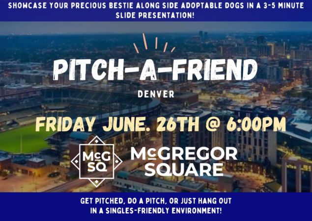 Pitch-A-Friend + Pitch-A-Pet!
