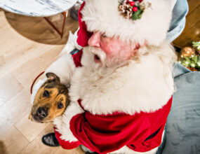 Visit from Santa: Pet Night
