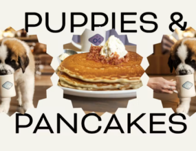 Puppies & Pancakes