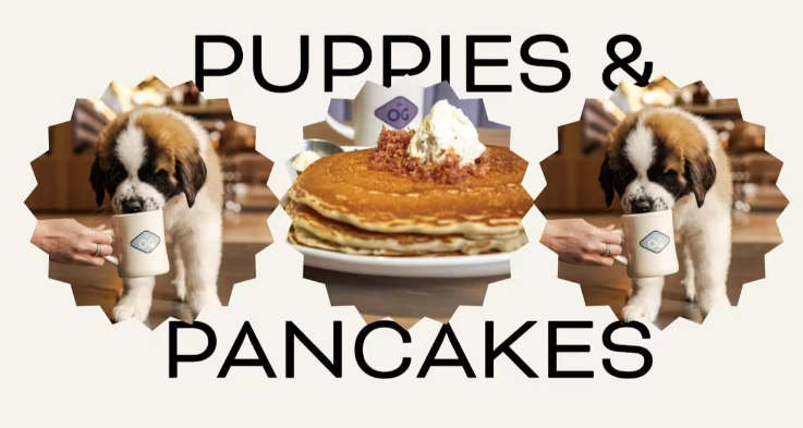Puppies & Pancakes