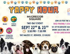 Yappy Hour at McGregor Square