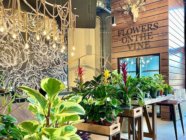 McGregor Square - Retail Outlet - Flowers on the Vine - Retail space